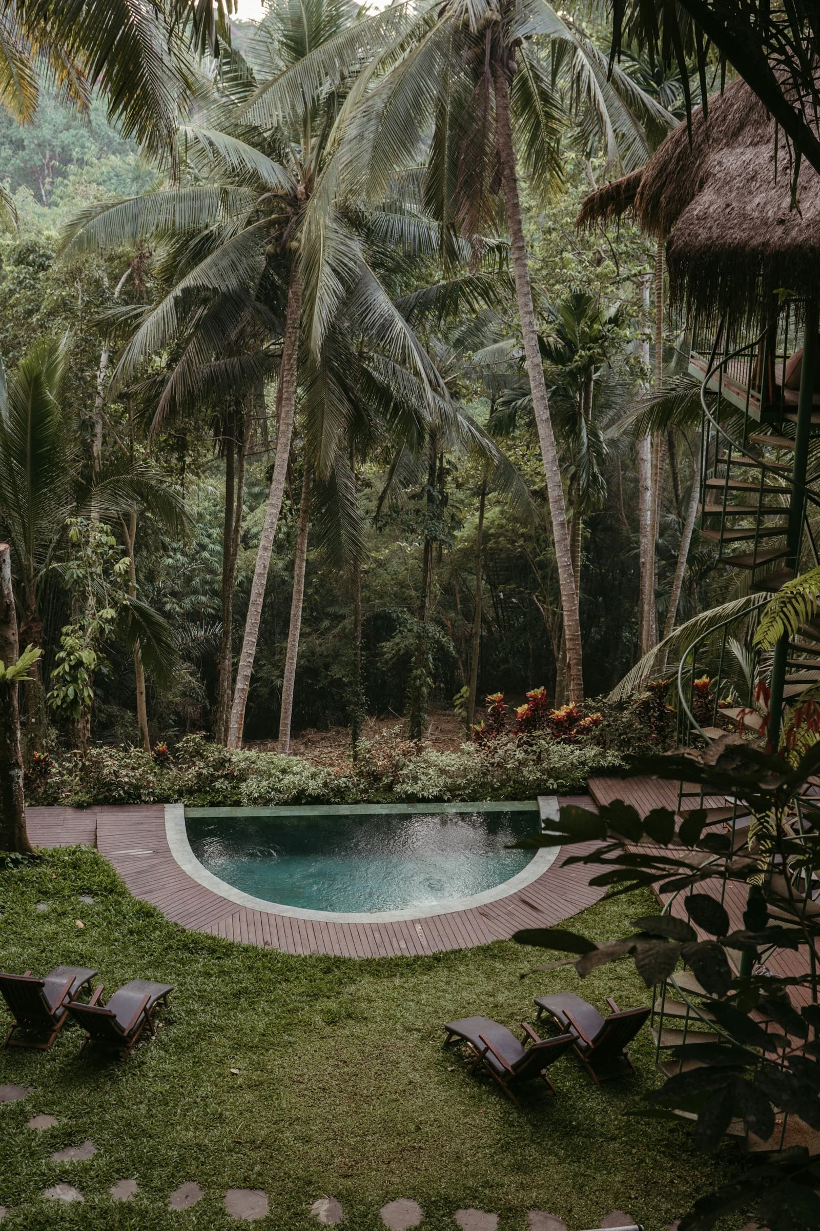 Small round pool in a lawn clearing beneath tall coconut palms